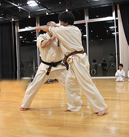The road to the fighting skills of Shushin Kaikan Karatedo.