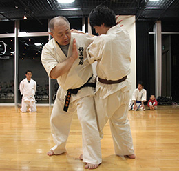 The goal of the International Karatedo Shushin Kaikan.